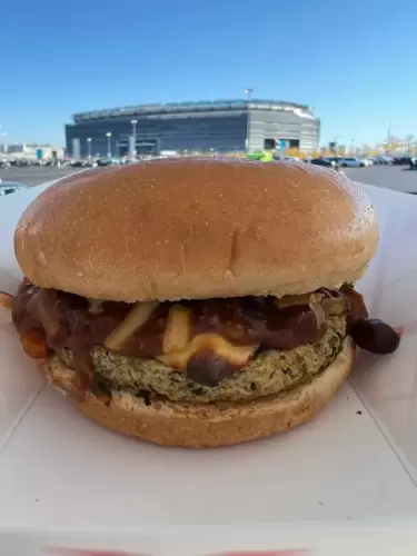 Dolphins Tailgate MetLife Stadium 5